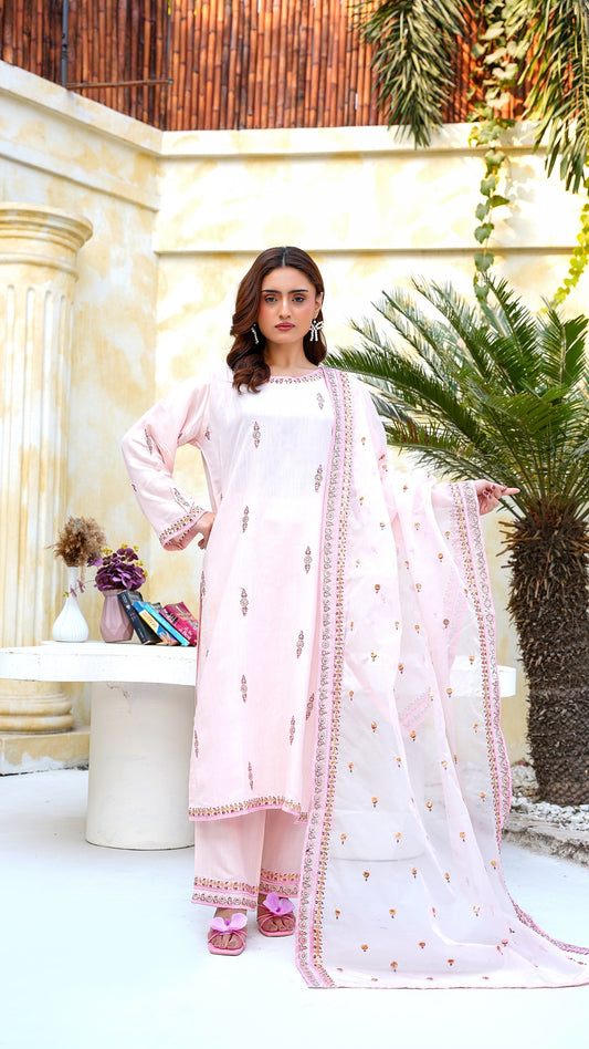 Blush Pink Embroidered Raw Silk Suit | Elegant Summer Festive Wear - Cross Fashion